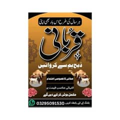 qasaaii in gujarkhan