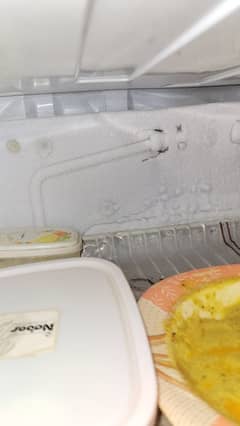 PEL 12 cubic ft refrigerator for sell
