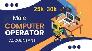 Sale Purchase Ledger Maintain Computer Operator