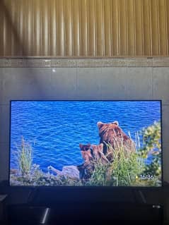 TCL C655 QLED Android LED