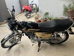 Cg 125 gold addition 2024