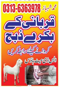 Qasi for Eid