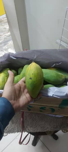 SINDHRI AAM(MANGOS)10K. G EXPERT QUALITY