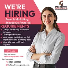 Sales & Marketing Executives Required || Sales Jobs || Staff Required