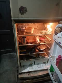 used Pel Fridge For sale working perfectally fine