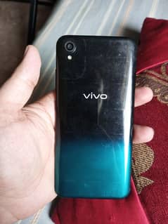 Vivo