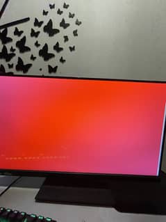 Acer predator xb272 240 hz