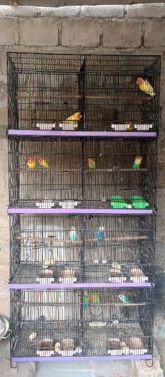 All setup for sale
