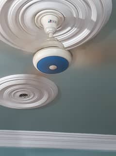 Ac Ceiling fan of company skm