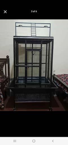 Parrot Cage Solid