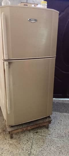 Haier Fridge/ refrigerator