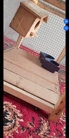 Birds Cage