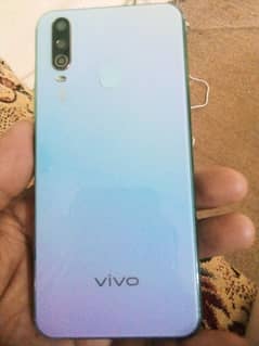 vivo