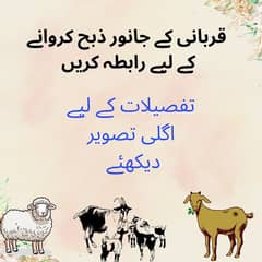 Qurbani k janwar zibah krwayn