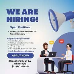 Sales Executive
