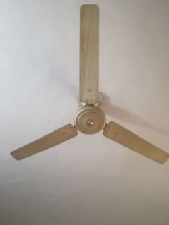 Royal Fan used Chalta hua for sale