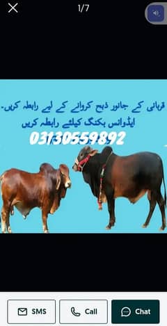 قربانی کے جانوروں کے ذبح کے لیے ایڈوانس بکنگ