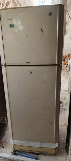 Pel