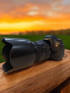 Canon 6D Mark ii with 24-70mm USM lens