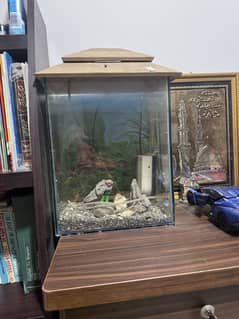 Fish tank for sale