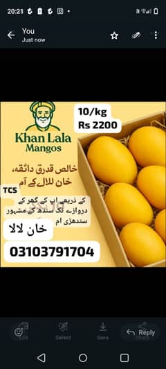 Sindhri mangos