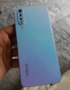vivo
