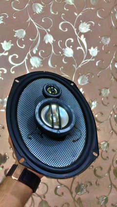 Kenwood 9 inch  orignal speaker