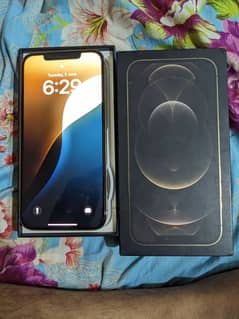 Iphone 12 Pro Max PTA Approved 10 by 10