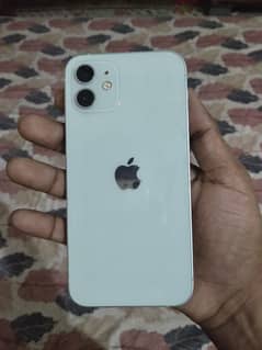 Apple iPhone 12