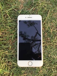 iPhone 7 PTA Approved 128GB 10/10 Exchange Possible