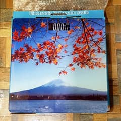 Digital weight scale 180kg Max