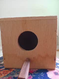 small Bird House, breeder box