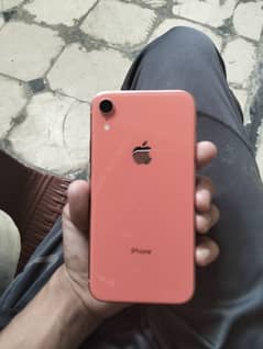 IPhone XR .