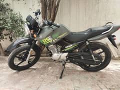 YBR