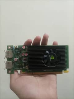 NVIDIA NVS 310 GPU