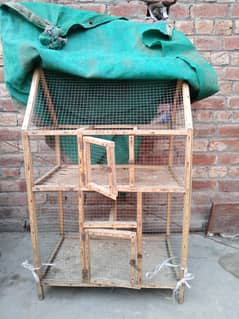 hand tame & cage sell Woden