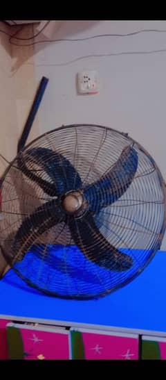 fan