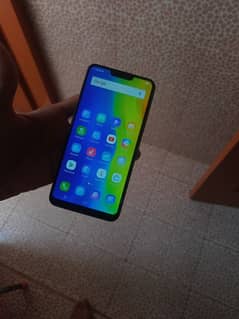 vivo