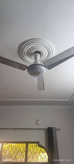 Ceiling Fans for Sale