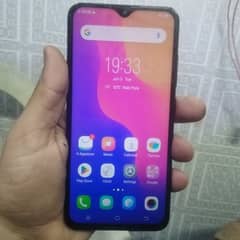 vivo