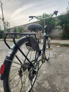 Japanese cycle