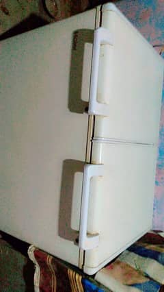 Haier D. Freezer