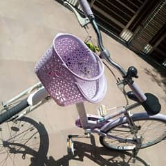 Bycycle purple color