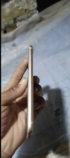 Iphone 8 plus