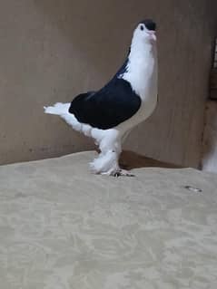 lahore