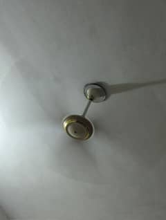 Ceiling
