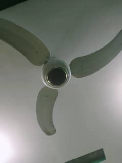 Ceiling Fans in perfect condition