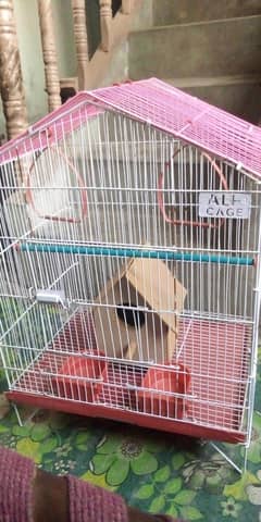birds cage