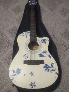 Focus Acoustic Guitar
