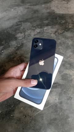 I phone 12 jv